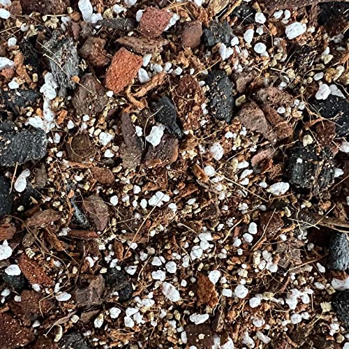 Imperial Houseplant Potting Mix - Mini Bag