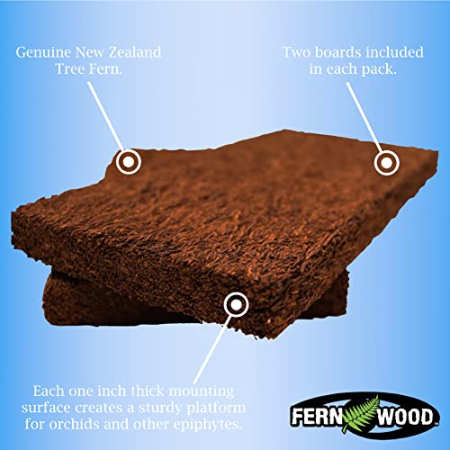 Fernwood Tree Fern Mounting Board - Natural & Sustainable