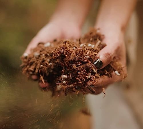 Organic Redwoods Potting Soil for Indoor Plants