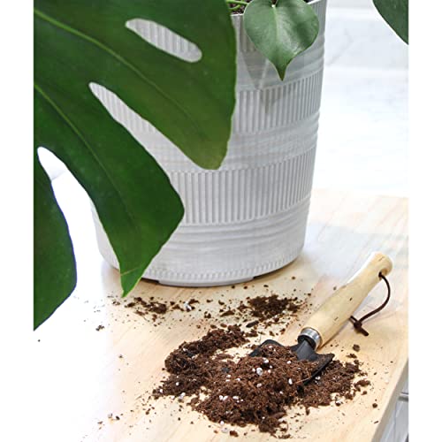 Custom Blend Monstera Potting Soil Mix (8 qts)