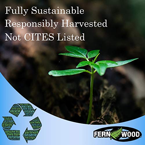 Fernwood Tree Fern Mounting Board - Natural & Sustainable