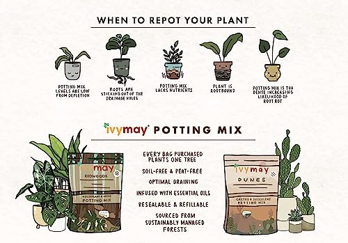 Organic Redwoods Potting Soil for Indoor Plants