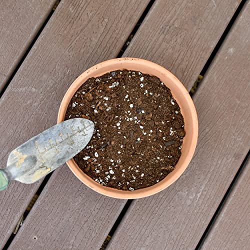 Custom Blend Monstera Potting Soil Mix (8 qts)