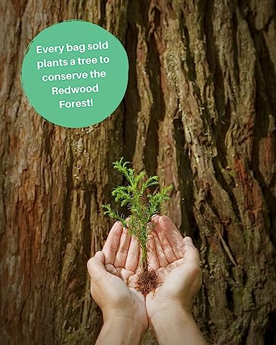 Organic Redwoods Potting Soil for Indoor Plants