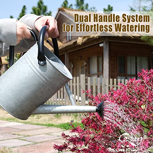 Vintage Zinc 1-Gallon Outdoor Watering Can