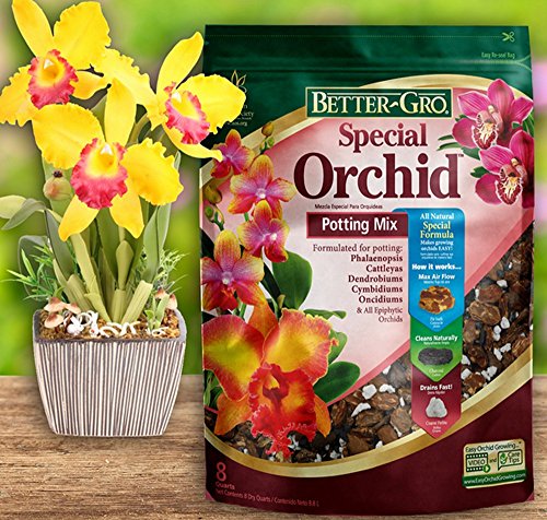 Special Orchid Mix, 4-Quart Bag