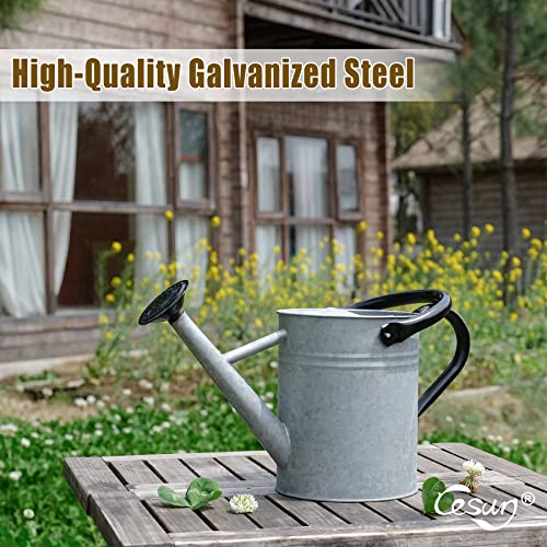 Vintage Zinc 1-Gallon Outdoor Watering Can