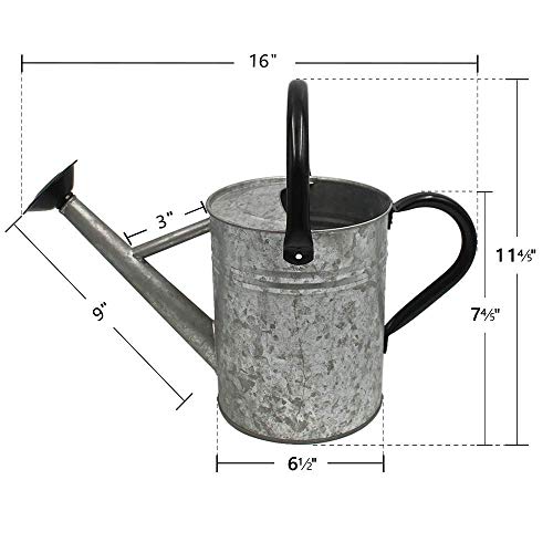Vintage Zinc 1-Gallon Outdoor Watering Can