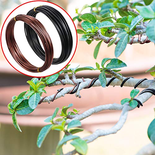 Bonsai Training Wire Set with Cutter - 160ft