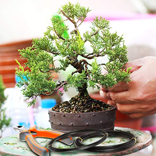 Bonsai Training Wire Set with Cutter - 160ft