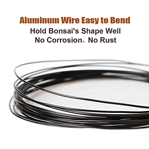Black Bonsai Training Wire Set - 3 Sizes