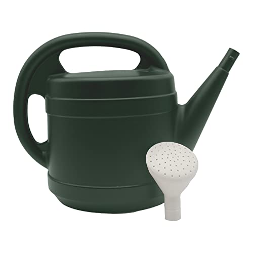 Green Watering Can - 2 Gallon