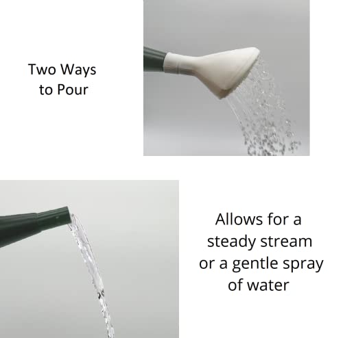 Green Watering Can - 2 Gallon