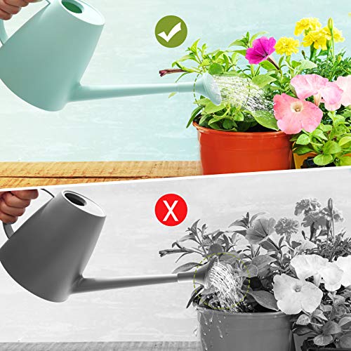 Small Green Watering Can for Indoor Plants & Garden