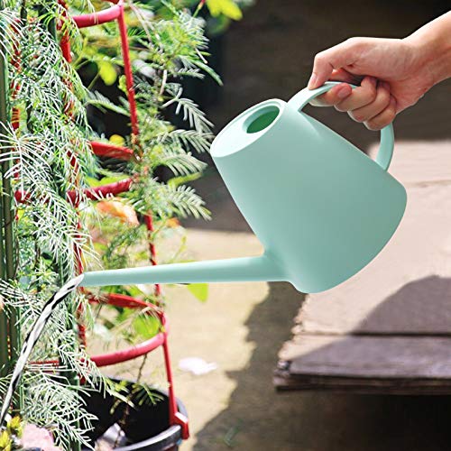 Small Green Watering Can for Indoor Plants & Garden