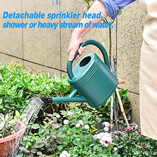 1 Gallon Blue Watering Can for Plants