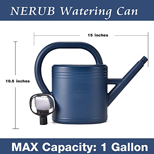 1 Gallon Blue Watering Can for Plants