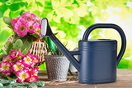 1 Gallon Blue Watering Can for Plants