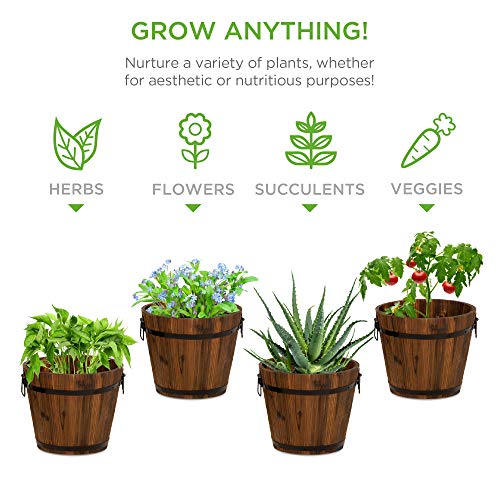 Wooden Barrel Planters - Set of 3
