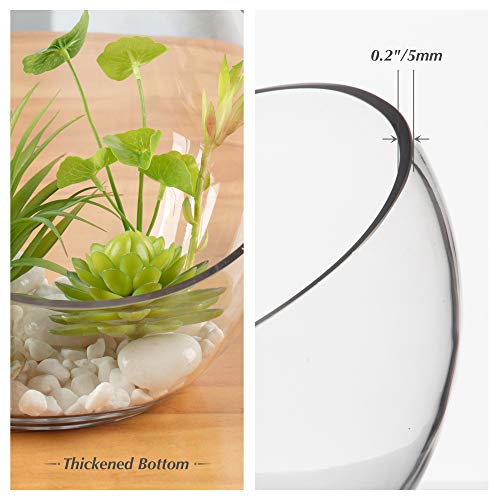 Glass Terrarium Vase for Home and Events
