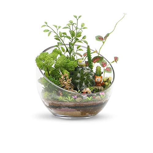 Glass Terrarium Vase for Home and Events