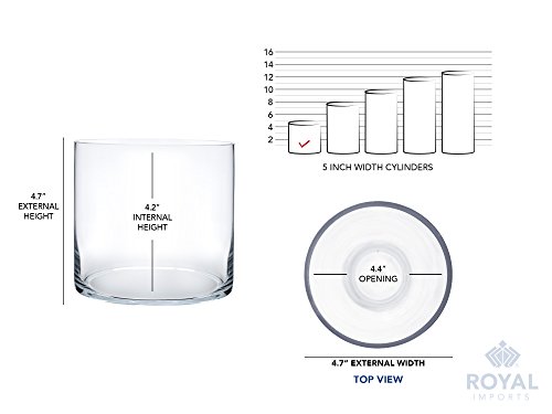 Clear Glass Cylinder Vase for Floral Decor