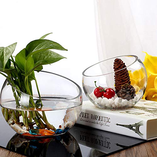 Glass Terrarium Vase for Home and Events