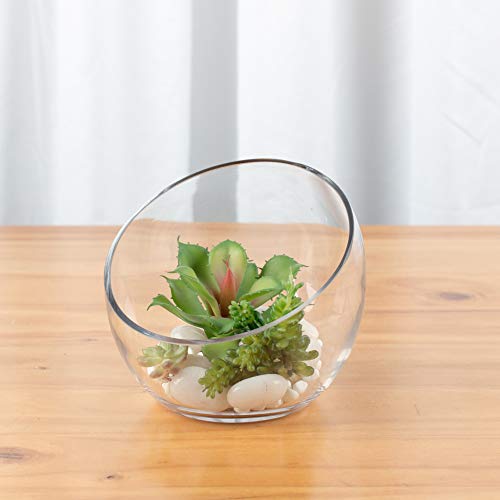 Glass Terrarium Vase for Home and Events