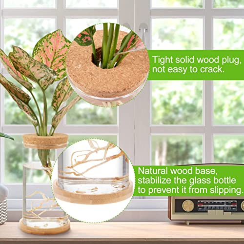 Tropical Plant Terrarium with Bamboo Saucer (3 pcs)