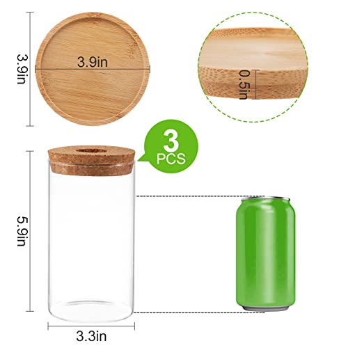 Tropical Plant Terrarium with Bamboo Saucer (3 pcs)