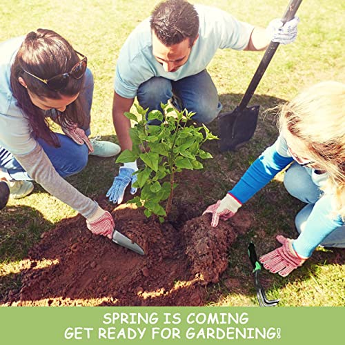 ZUZUAN 3 Pack Aluminum Gardening Kit