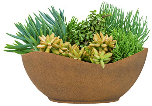 12" Arc Pot - Georgia Clay