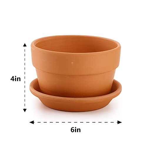 4-Pack 6" Terra Cotta Pots with Saucers