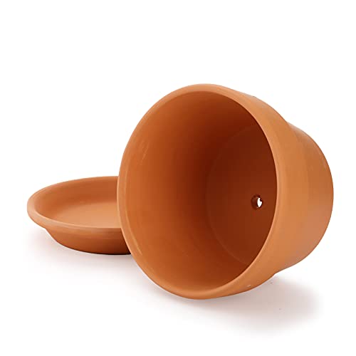 4-Pack 6" Terra Cotta Pots with Saucers