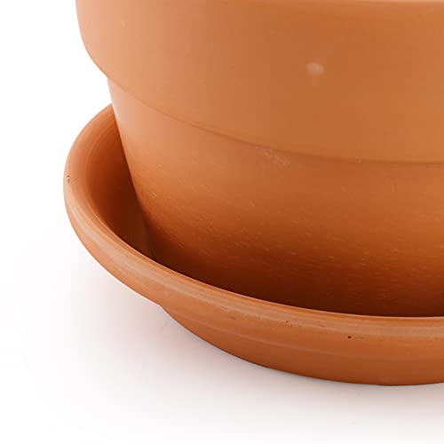 4-Pack 6" Terra Cotta Pots with Saucers