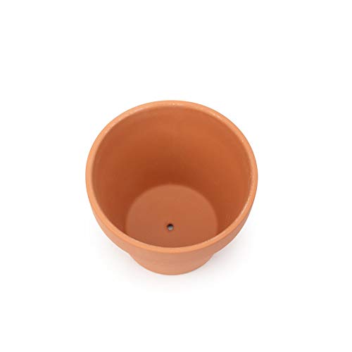 Terra Cotta Pot with Drainage (4") - 26 Pack