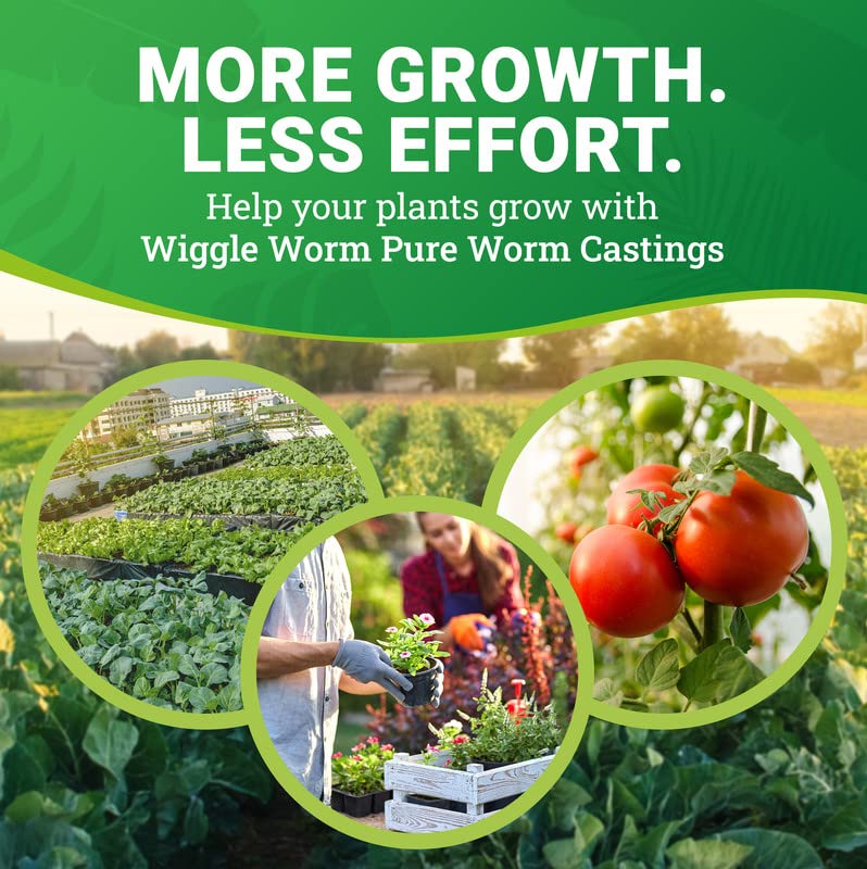 100% Pure Organic Worm Castings for Soil Fertility – 15lbs