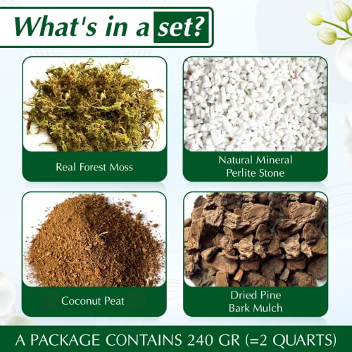 Tropical Orchid Potting Mix with Natural Ingredients