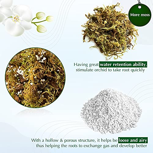 Tropical Orchid Potting Mix with Natural Ingredients