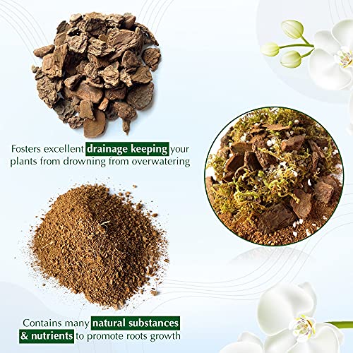 Tropical Orchid Potting Mix with Natural Ingredients