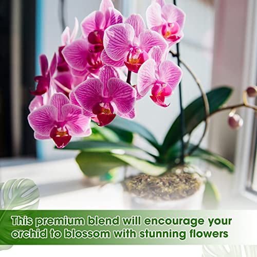 Tropical Orchid Potting Mix with Natural Ingredients