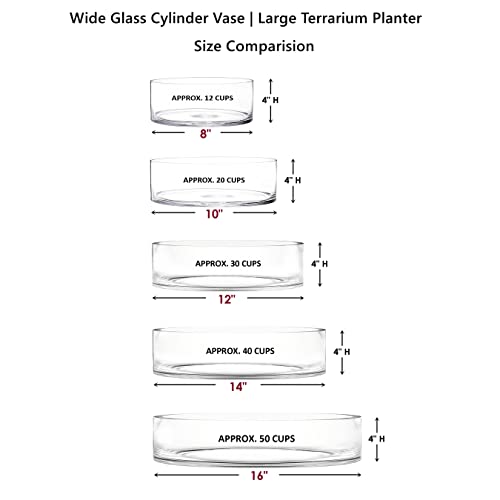 Clear Glass Cylinder Vase | Multiple Sizes