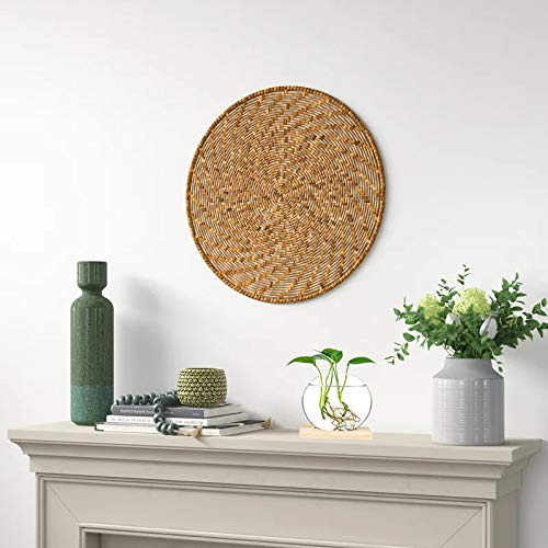 Round Glass Terrariums with Wooden Stand (2-pack)