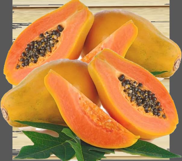 Dwarf Red Lady Papaya Fruit Tree Starter