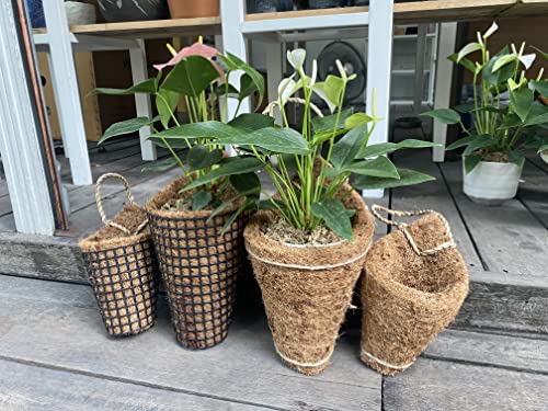 Handmade Thai Coconut Coir Bird Nest Planter Set