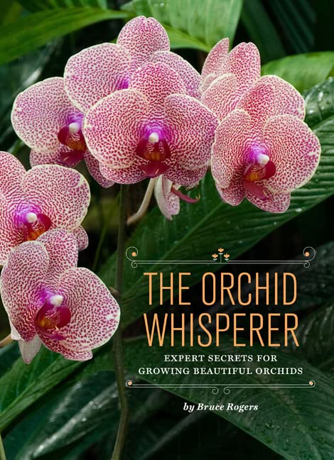 Expert Secrets for Growing Beautiful Orchids
