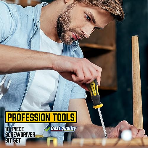 Amartisan 10PC Magnetic Screwdrivers, Phillips and Slotted Tips