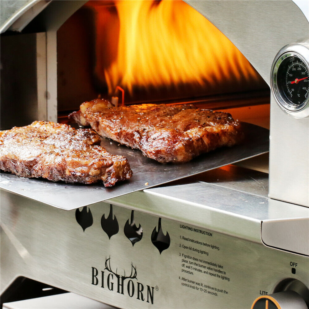 Portable Stainless Steel Gas BBQ Grill