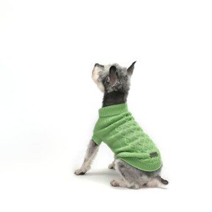 Cozy Green Winter Sweater for Small Dogs