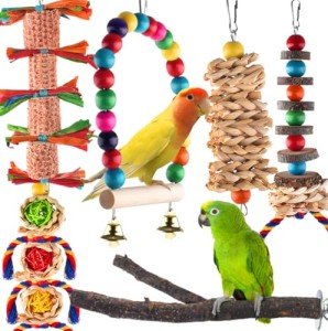 KATUMO Bird Toy Set, 6pcs Chew Toys & Perch for Small Birds, Conure, Cockatiel, Lovebird, Parakeet, Finch, Canary, Myna - Mental & Physical Workout, Relieves Boredom